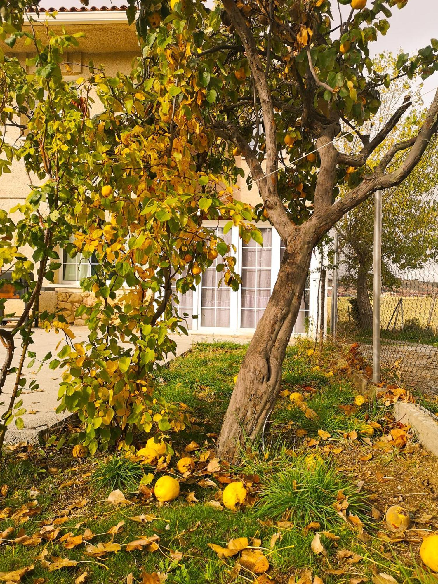 Agradable Casa Con Jardin: Casasola Villa San Cristóbal de Segovia Eksteriør billede